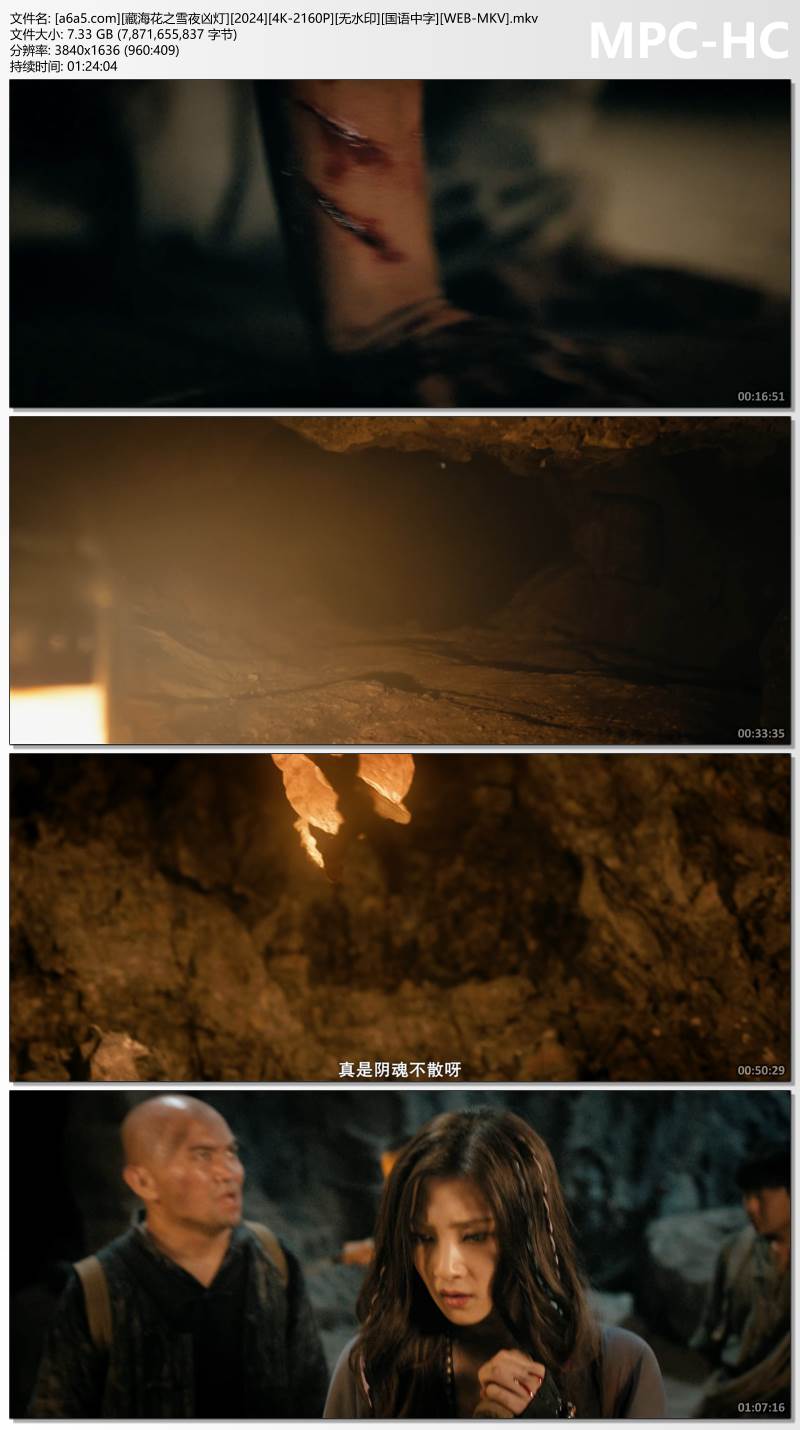 [a6a5.com][藏海花之雪夜凶灯][2024][4K-2160P][无水印][国语中字][WEB-MKV].mkv_thumbs.jpg