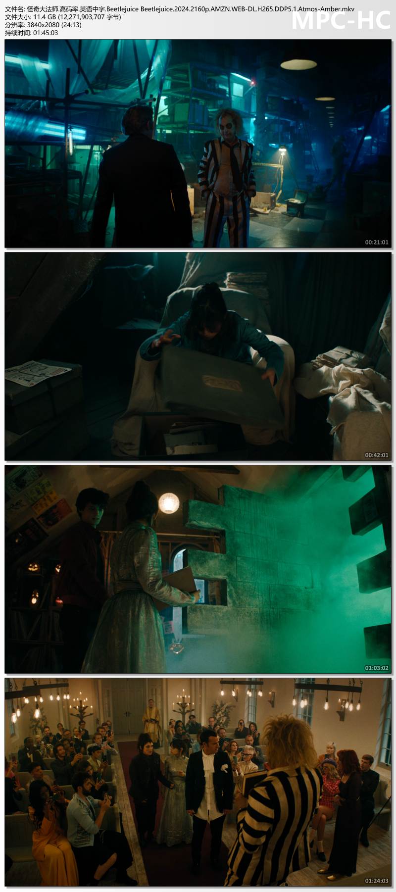 怪奇大法师.高码率.英语中字.Beetlejuice Beetlejuice.2024.2160p.AMZN.WEB-DL.H265.D.jpg