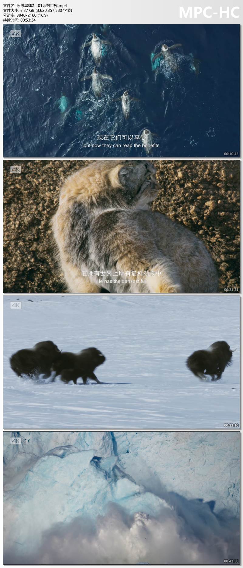 冰冻星球2：01冰封世界.mp4_thumbs.jpg