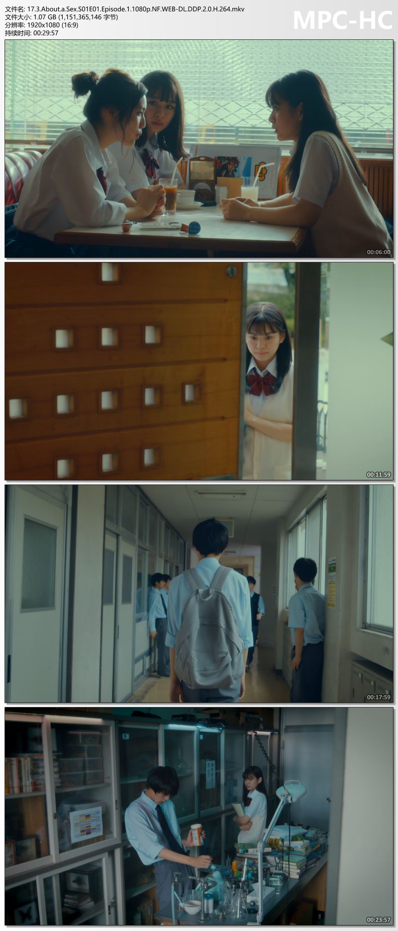 17.3.About.a.Sex.S01E01.Episode.1.1080p.NF.WEB-DL.DDP.2.0.H.264.mkv_thumbs.jpg
