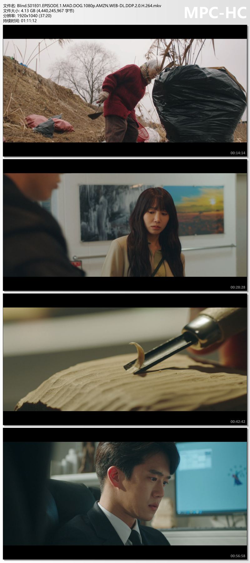 Blind.S01E01.EPISODE.1.MAD.DOG.1080p.AMZN.WEB-DL.DDP.2.0.H.264.mkv_thumbs.jpg