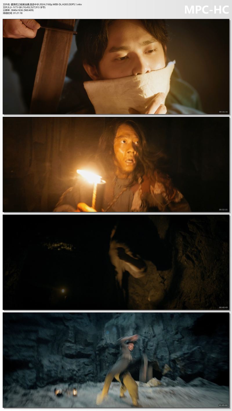 藏海花之暗巢汹涌.国语中字.2024.2160p.WEB-DL.H265.DDP5.1.mkv_thumbs.jpg