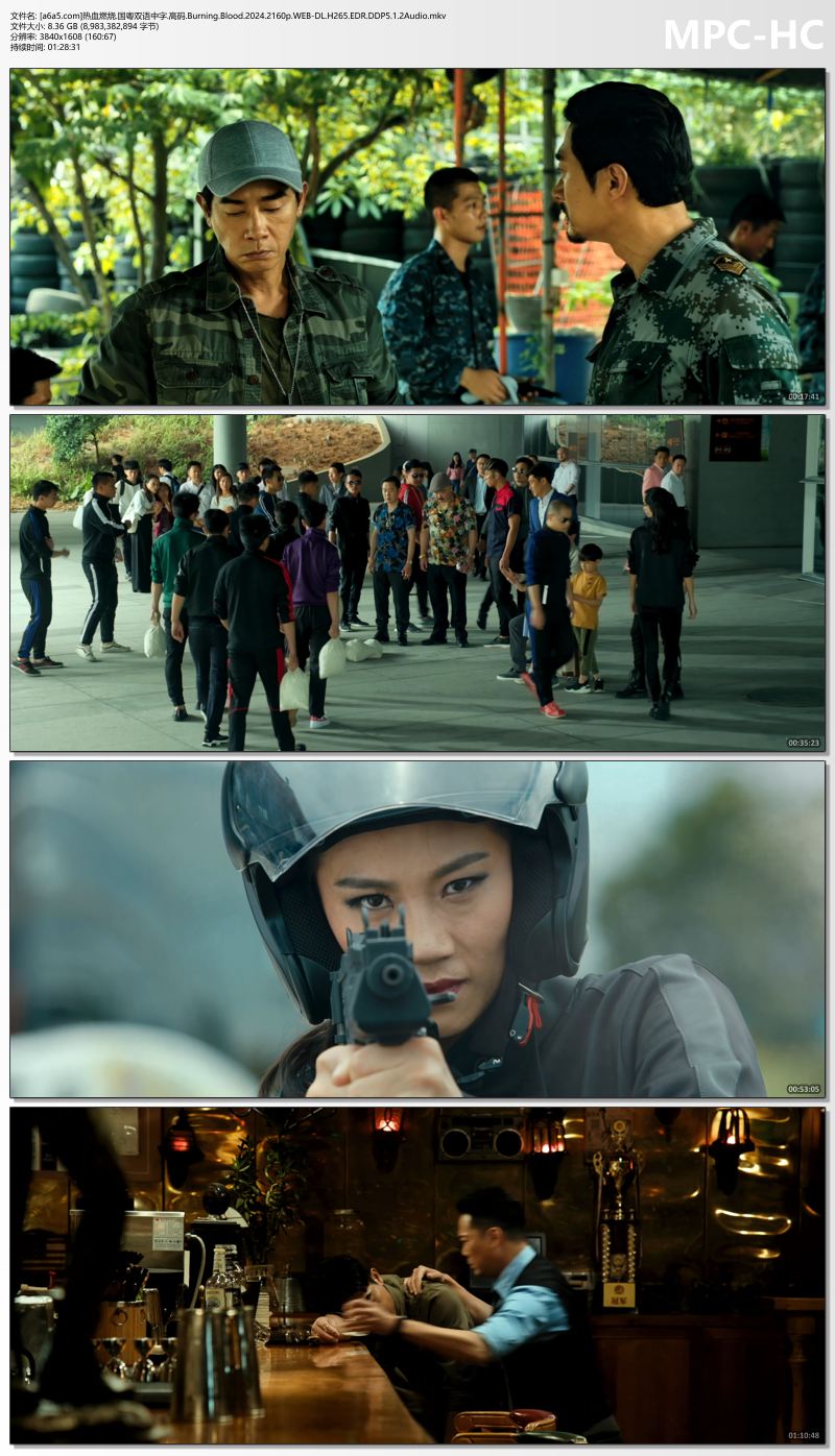 [a6a5.com]热血燃烧.国粤双语中字.高码.Burning.Blood.2024.2160p.WEB-DL.H265.EDR.DD.jpg