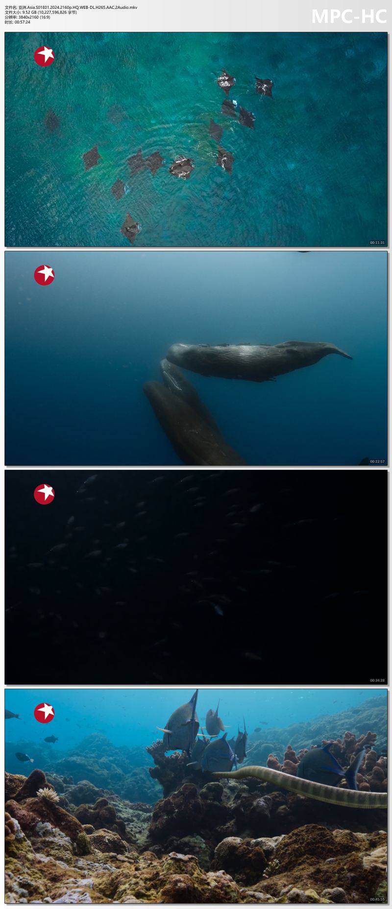 亚洲.Asia.S01E01.2024.2160p.HQ.WEB-DL.H265.AAC.2Audio.mkv_thumbs.jpg