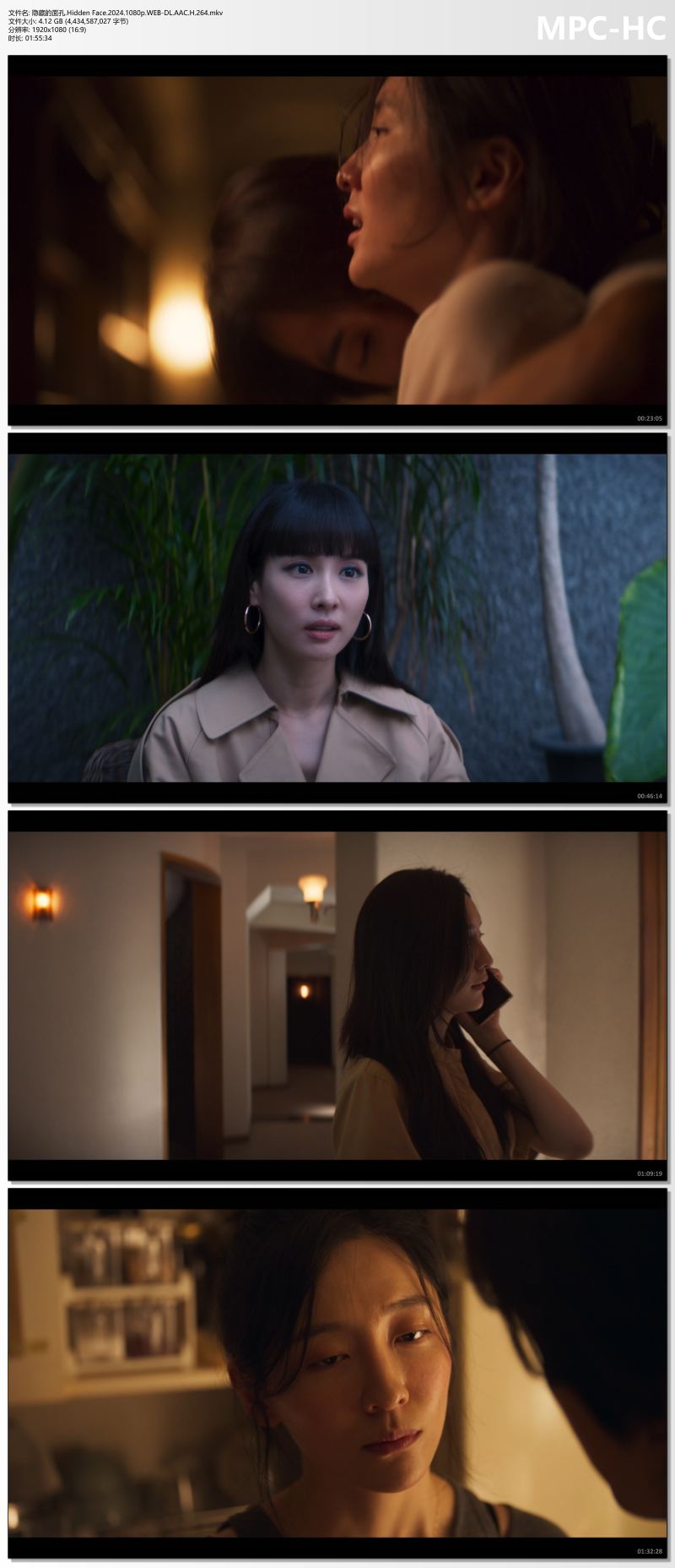 隐藏的面孔.Hidden Face.2024.1080p.WEB-DL.AAC.H.264.mkv_thumbs.jpg