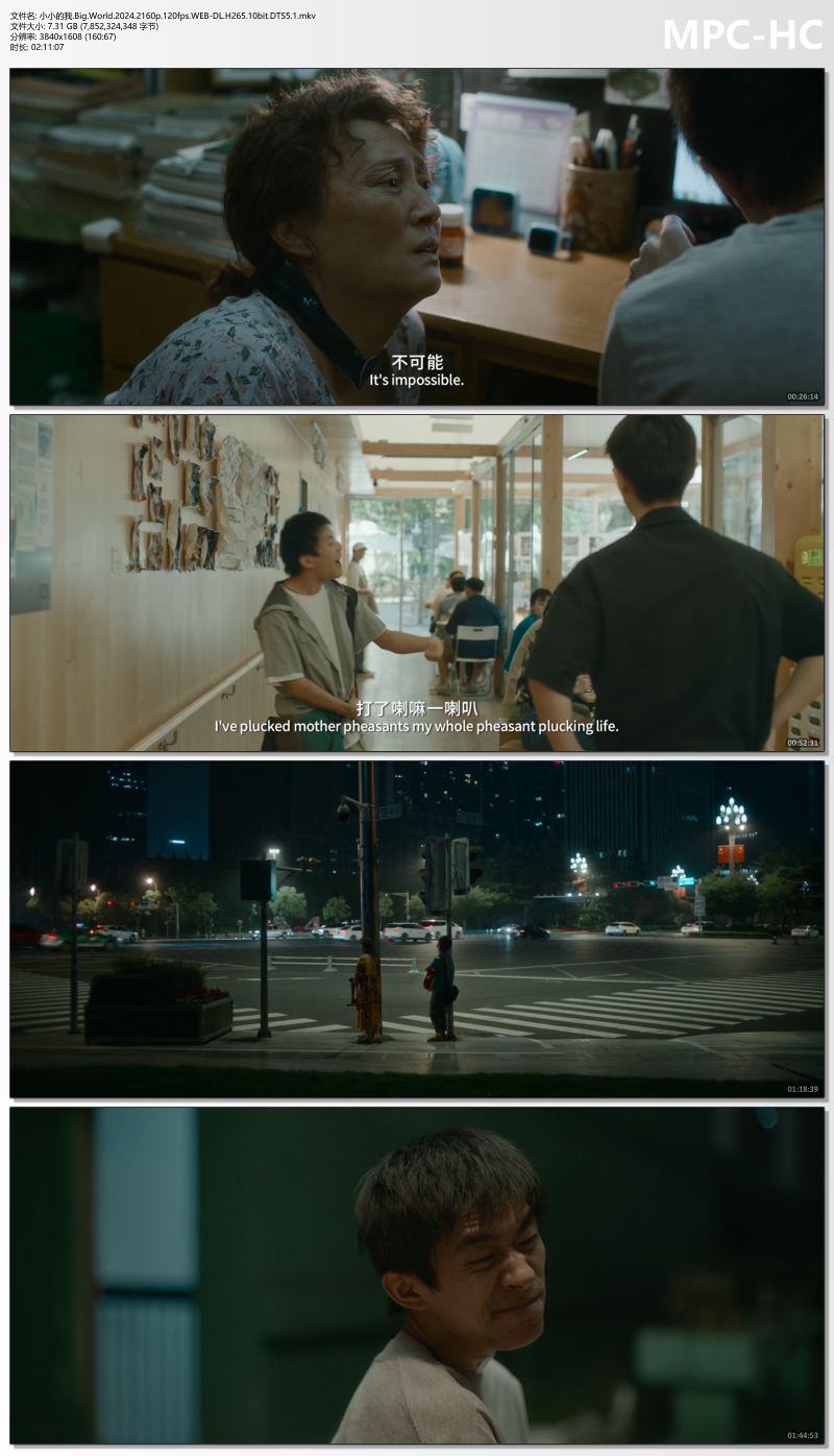 小小的我.Big.World.2024.2160p.120fps.WEB-DL.H265.10bit.DTS5.1.mkv_thumbs.jpg