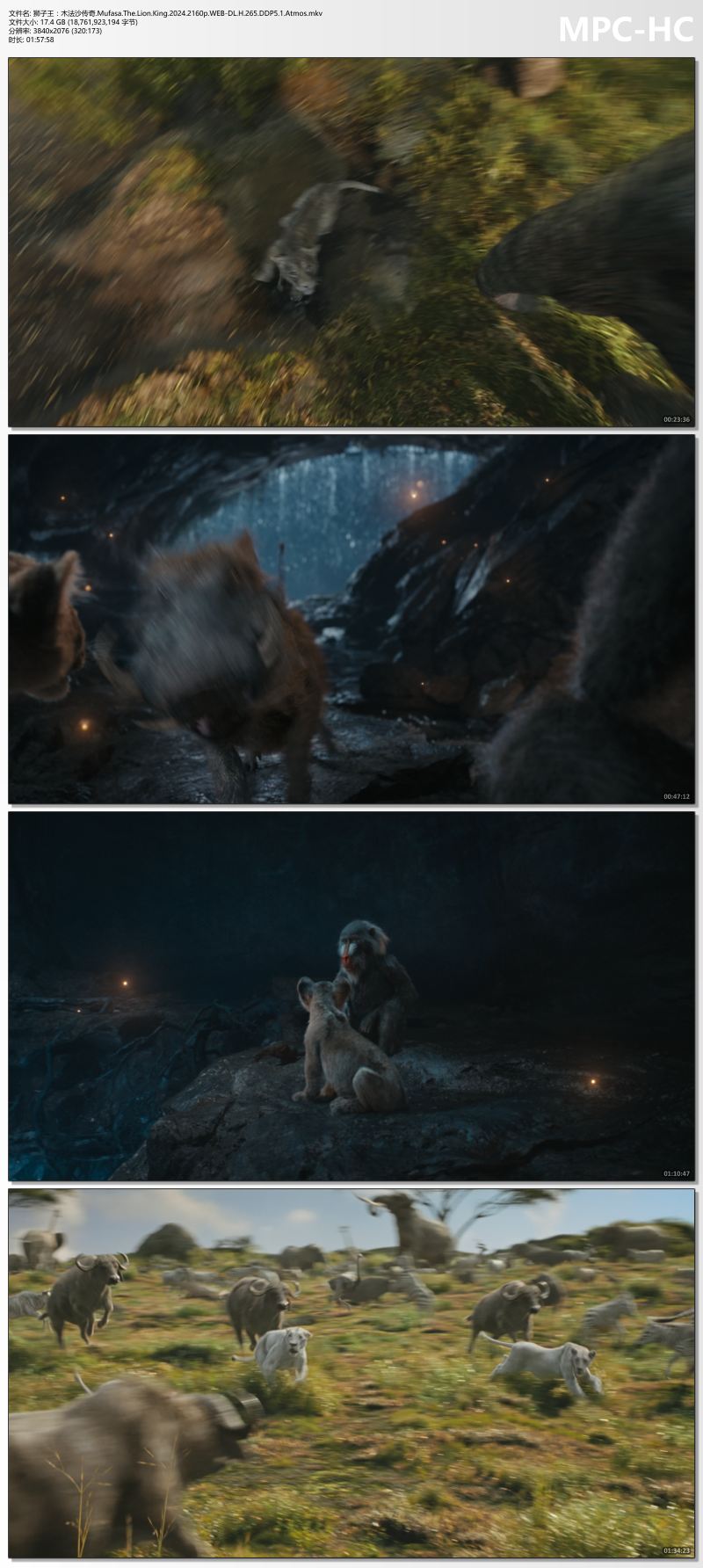 狮子王：木法沙传奇.Mufasa.The.Lion.King.2024.2160p.WEB-DL.H.265.DDP5.1.Atmos.mkv.jpg