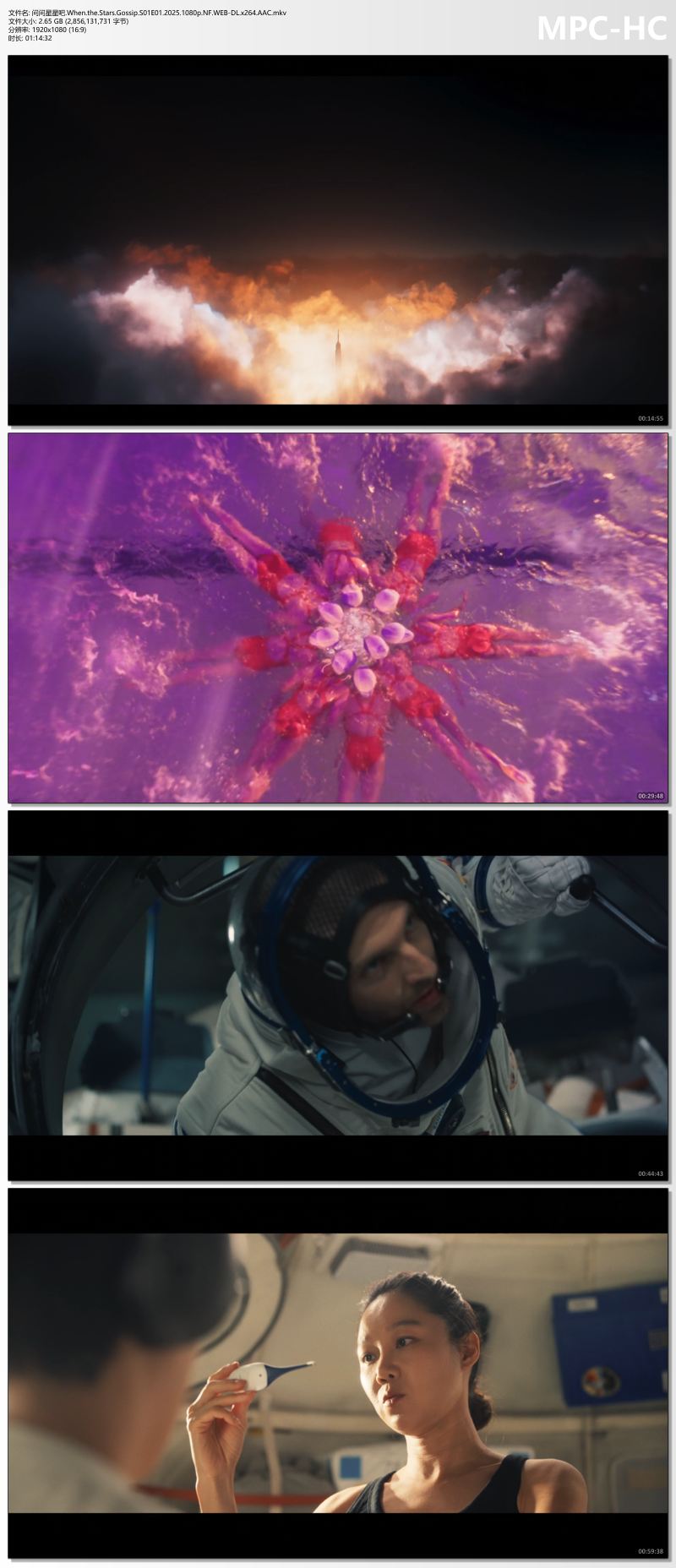 问问星星吧.When.the.Stars.Gossip.S01E01.2025.1080p.NF.WEB-DL.x264.AAC.mkv_thumbs.jpg