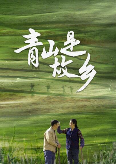 青山是故乡.jpg
