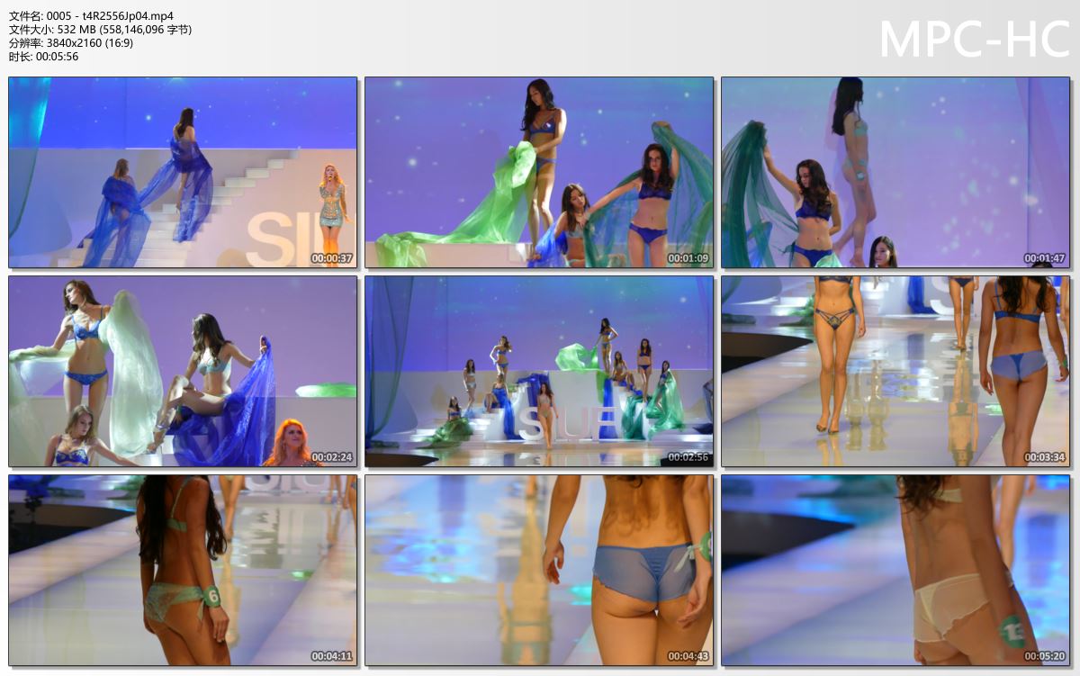 0005 - t4R2556Jp04.mp4_thumbs.jpg