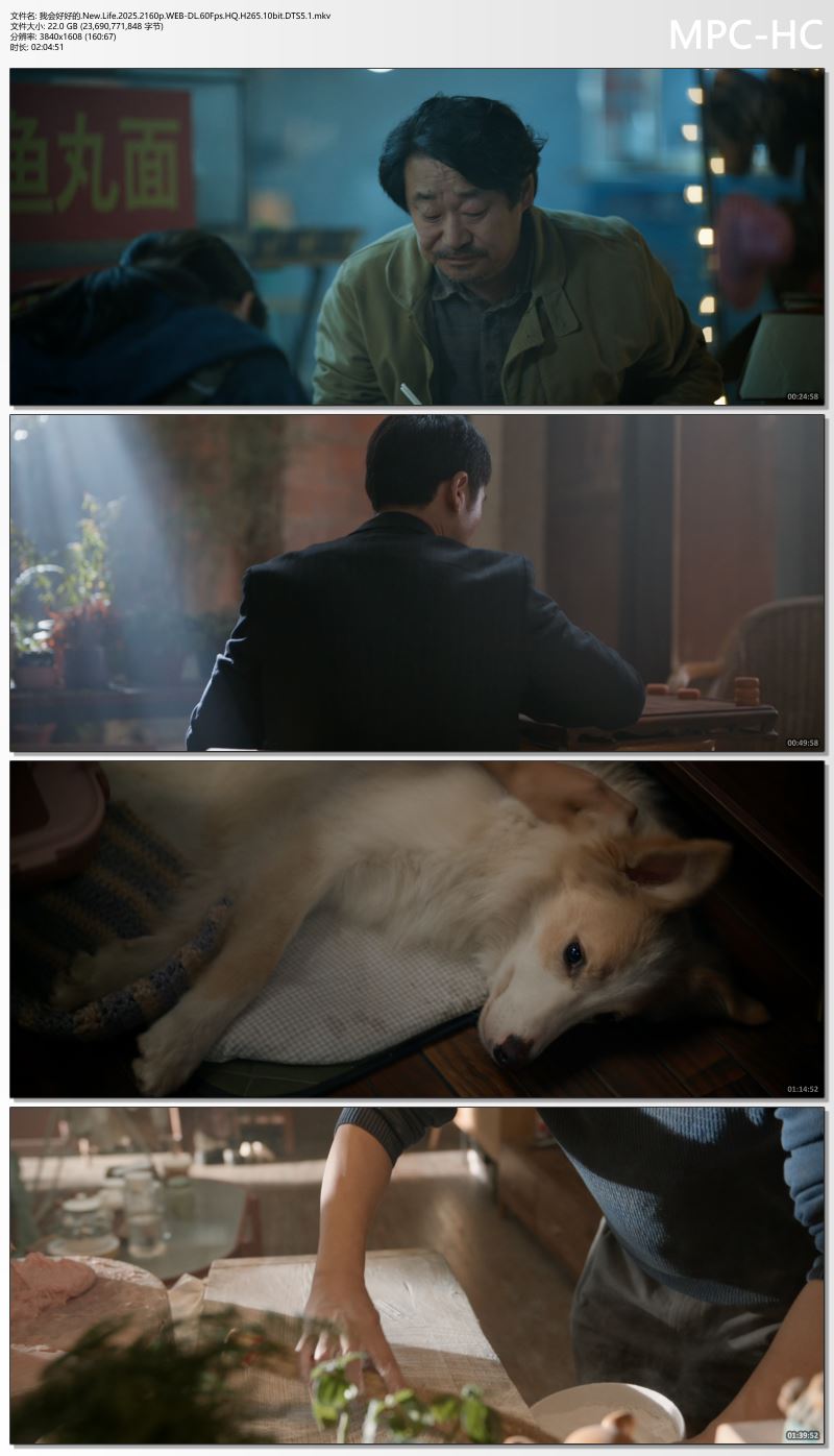 我会好好的.New.Life.2025.2160p.WEB-DL.60Fps.HQ.H265.10bit.DTS5.1.mkv_thumbs.jpg