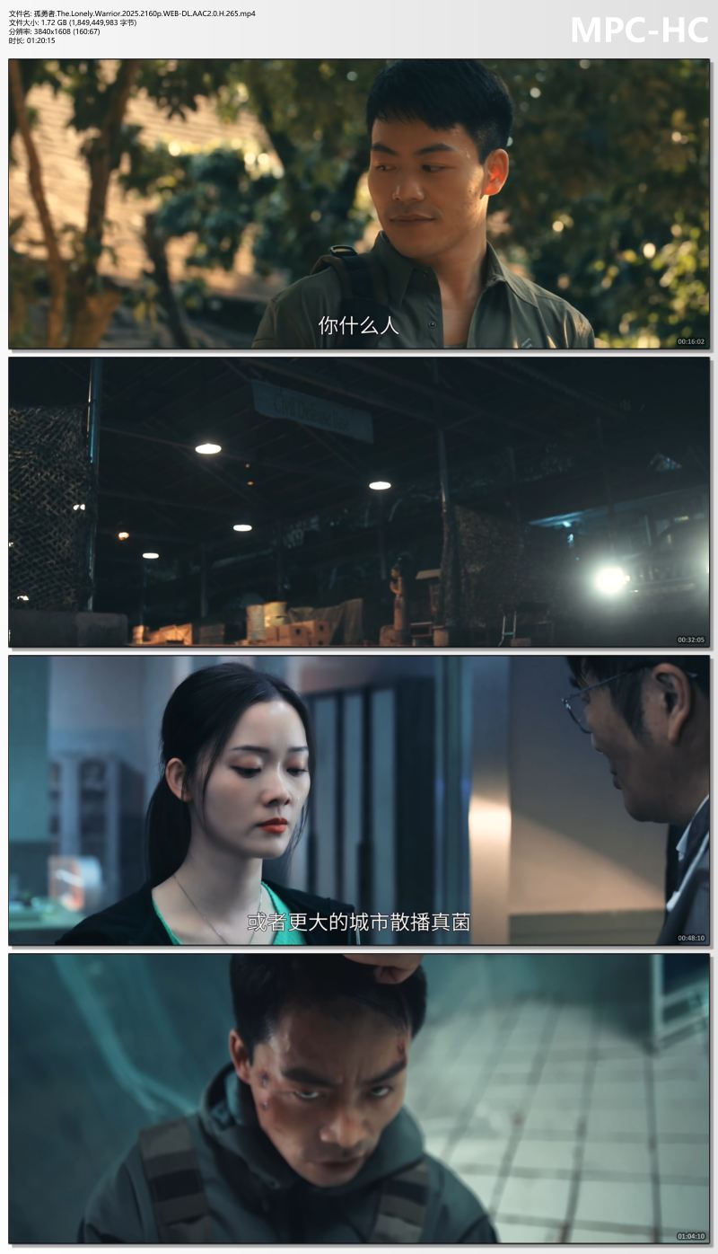 孤勇者.The.Lonely.Warrior.2025.2160p.WEB-DL.AAC2.0.H.265.mp4_thumbs.jpg
