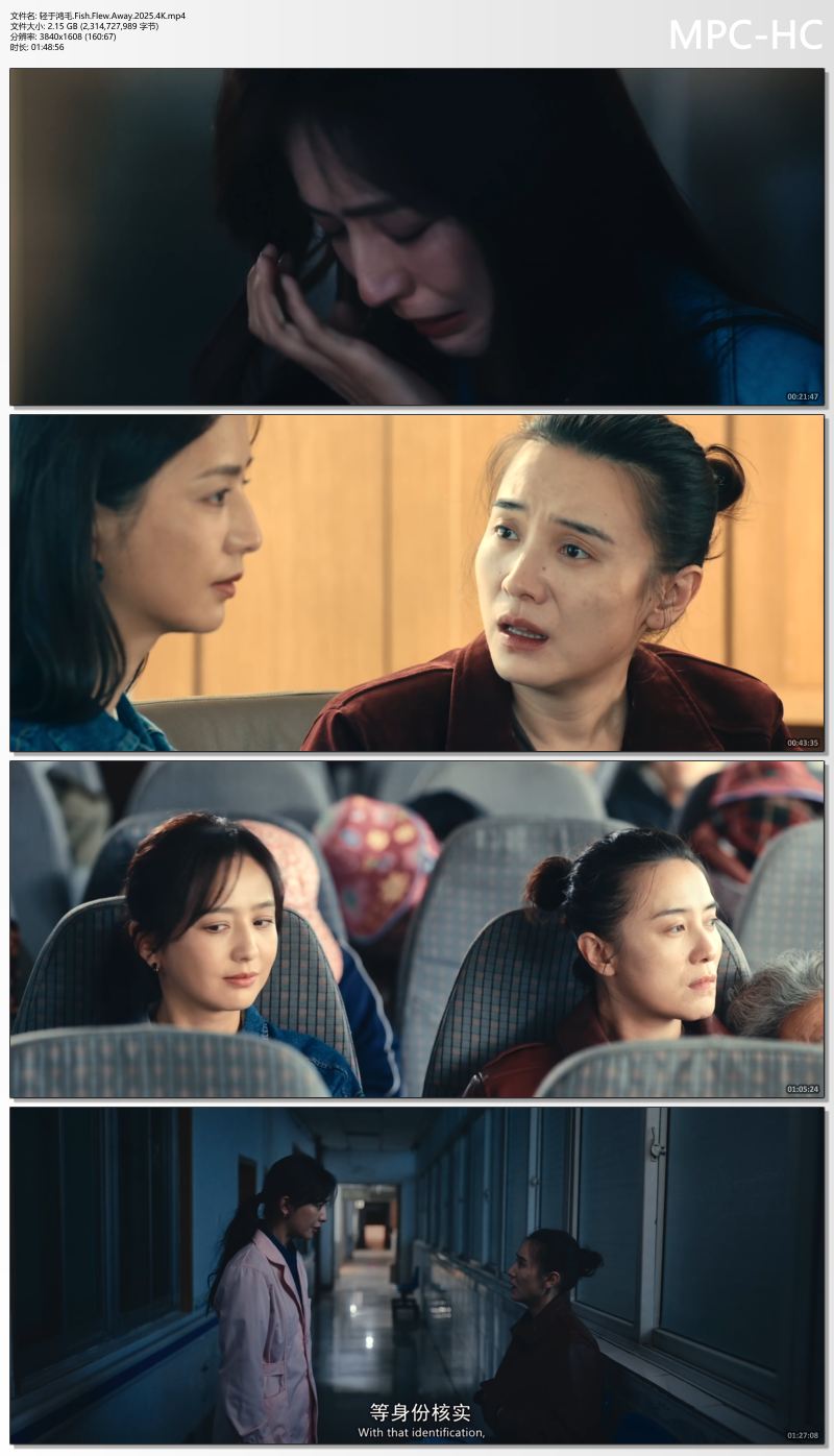 轻于鸿毛.Fish.Flew.Away.2025.4K.mp4_thumbs.jpg