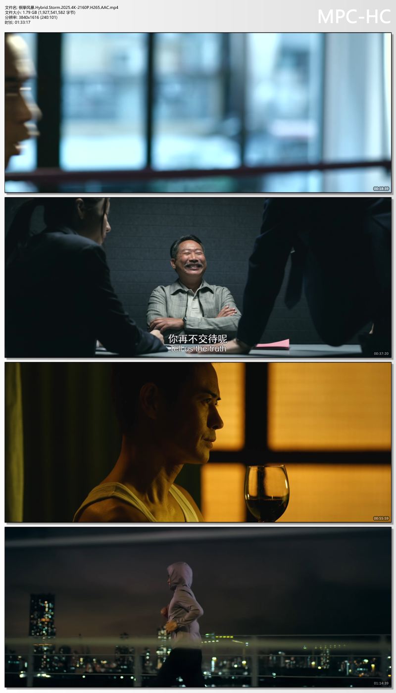 棋拳风暴.Hybrid.Storm.2025.4K-2160P.H265.AAC.mp4_thumbs.jpg