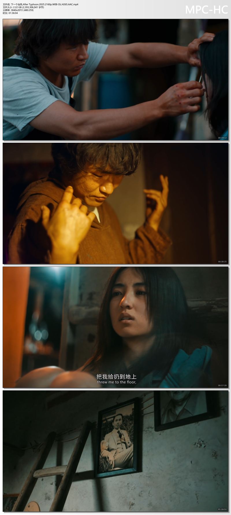 下一个台风.After Typhoon.2025.2160p.WEB-DL.H265.AAC.mp4_thumbs.jpg