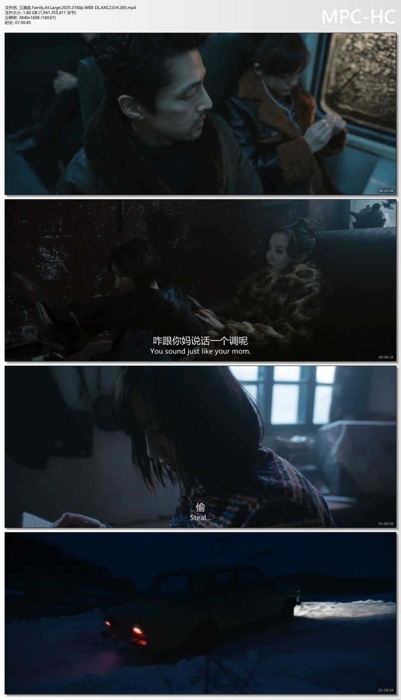 三滴血.Family.At.Large.2025.2160p.WEB-DL.AAC2.0.H.265.mp4_thumbs.jpg
